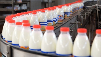 Молочный дефицит в Крыму оценили в 500 тысяч тонн