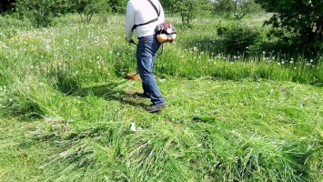 В департаменте ЖКХ рассказали, кто и когда будет косить траву в Николаеве