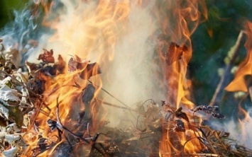 В Днепре запретили сжигать прошлогодние листья
