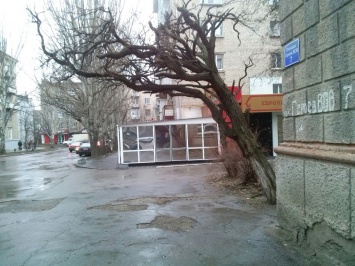 "Уродуют город". Жители Луганска возмущены строительством кафе "на половину улицы"