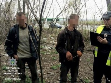Между Славянском и Краматорском патрульные пресекли незаконную вырубку деревьев