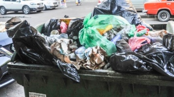 В экс-"Умвельте" свалили проблемы с вывозом мусора на низкий тариф