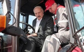 Лукашенко на тракторе посеял кукурузу