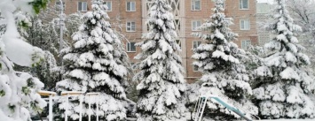Погода в Запорожье: будут дожди и заморозки, но бывало и похуже, - ВИДЕО