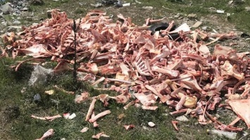 Кожа да кости: на закрытый полигон в Каменке продолжают свозить мусор