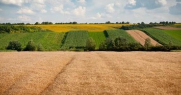 За март на Николаевщине продано 350 гектар земли сельхозназначения