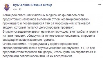 В Киевском супермаркете вызвали команду спасателей, чтобы поймать кота, который таскал сосиски