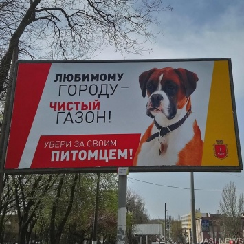 В Одессе на билбордах призывают убирать за своим питомцем
