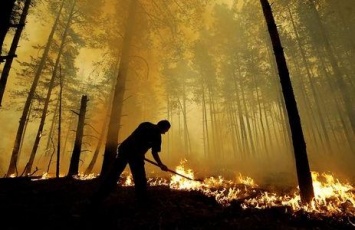 В Днепре и области объявили чрезвычайную пожарную опасность