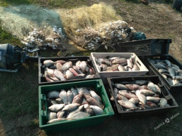 Браконьеры в Одесской области наловили рыбы почти на 10 тысяч грн (фото)