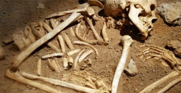 В Черниговской области обнаружили человеческие останки