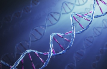 Ученые впервые обнаружили в живых клетках новую форму ДНК