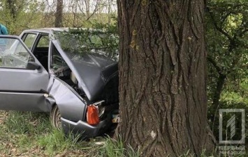 ДТП в Кривом Роге: у 72-летнего водителя случился сердечный приступ за рулем (ФОТО)