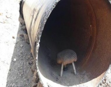 В Днепре мужчина пытался вырезать водопровод на территории завода «Днепр-Шина» (ФОТО)