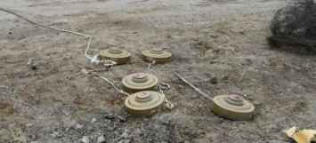 ОБСЕ обнаружила 65 противотанковых мин под Мариуполем