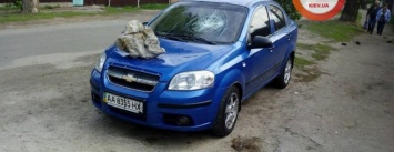 В Киеве неизвестные бросили огромный камень на припаркованное авто