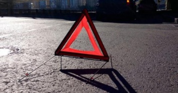 В России одного из разработчиков "Новчика" сбил автомобиль