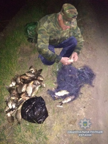 В Николаевской области полиция задержала четверых браконьеров