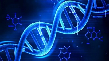 Ученые из Австралии обнаружили новую форму ДНК