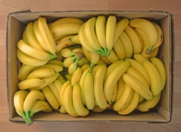 В Испании обнаружили около 8 тонн кокаина в бананах (Фото)