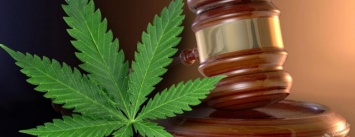 19-летний житель Сумщины может сесть за решетку за хранение марихуаны