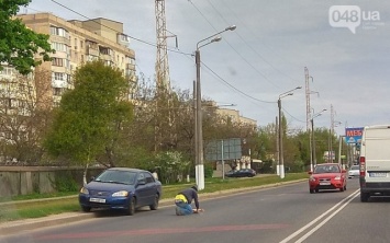 В потоке машин Одессы небезразличный водитель спасал кошку