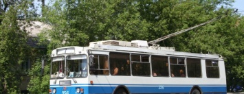 Вместо троллейбусов - трамвай: каменчанам ответили на петицию