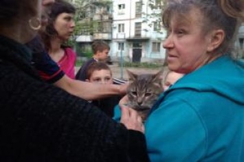 В Запорожье "летающий" кот поставил на уши целый двор: опубликовано шокирующее видео