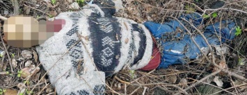 На Москалевке нашли мумифицированный труп женщины. Полиция просит помощи в опознании (ФОТО)