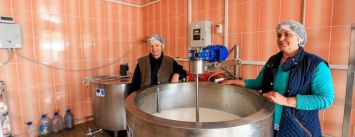 Моцарелла, рикотта и халуми: благодаря сотрудничеству с ЕС в одном из сел Запорожской области открыли сыроварню