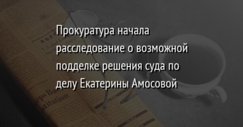 Прокуратура начала расследование о возможной подделке решения суда по делу Екатерины Амосовой