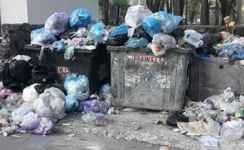 Запорожцы тонут в мусоре (Фото)