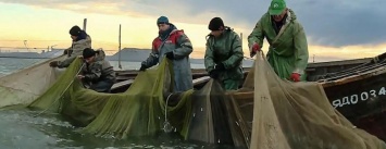 Море продолжает кормить переселенцев из Широкино (ФОТО)
