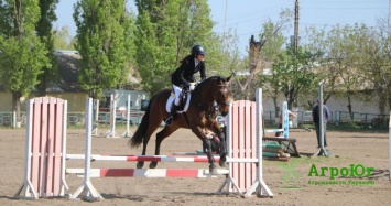 В Николаеве более 70 наездников юга Украины собрались на трехдневных конных соревнованиях