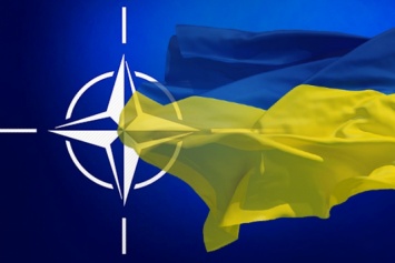 В НАТО сделали неожиданное заявление о вступлении Украины в Альянс