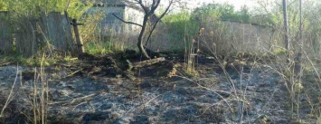 В Сумской области возросло количество пожаров в природных экосистемах