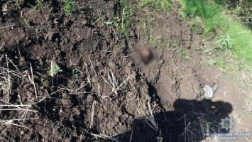 Донецкие полицейские раскрыли тройное убийство