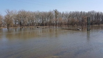 Спасатели предупреждают о затоплении дорог в Сумской области