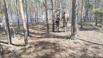 В Луганской области горит лес