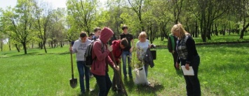 Первомайский парк пополнился молодыми дубами