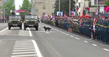 На "параде" в "ДНР" произошел забавный казус