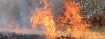 За майские праздники в области случилось 7 лесных пожаров