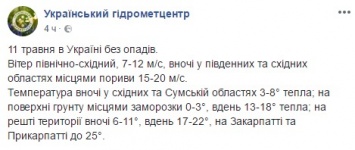 Названы четыре области Украины, где ночью синоптики ждут опасных заморозков