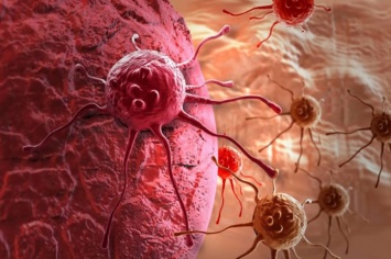 Раковые клетки процветают в кислотности. Восстановите уровень pH в организме с помощью всего одного суперпродукта
