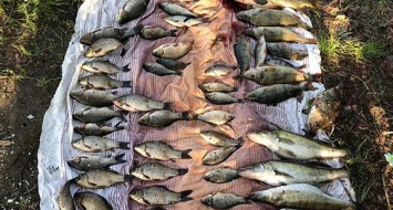 Под Запорожьем задержали браконьера: он незаконно наловил рыбы на 9 тысяч, - ФОТО