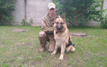 На Днепропетровщине служебный пес нашел в овраге пропавшую пенсионерку