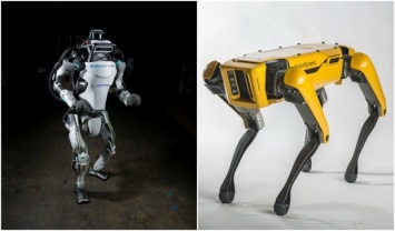 Уже в 2019 году Boston Dynamics начнет продавать роботов-собак