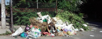 Труханов хочет поднять городской тариф на вывоз мусора