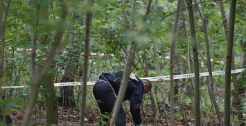 В лесополосе в 3 км от поселка Ровное Покровского района был обнаружен скелетированный труп