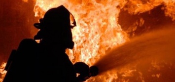 Каменские спасатели ликвидировали несколько пожаров